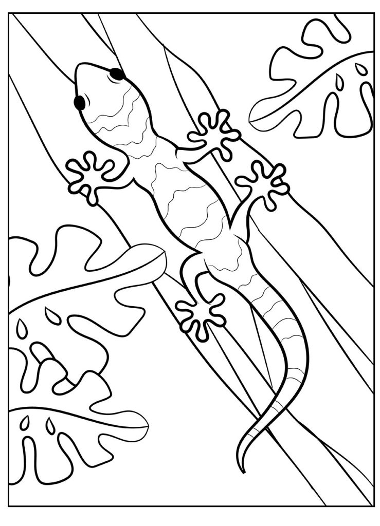 Ausmalbilder Eidechsen von Tiere. 8 Stück, Kostenlos als PDF