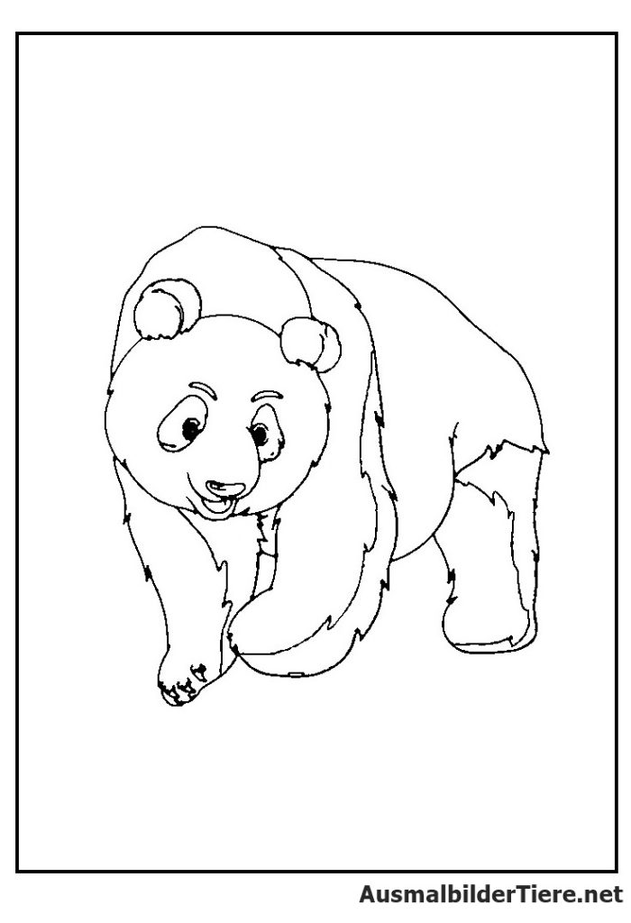 Ausmalbild Panda PDF