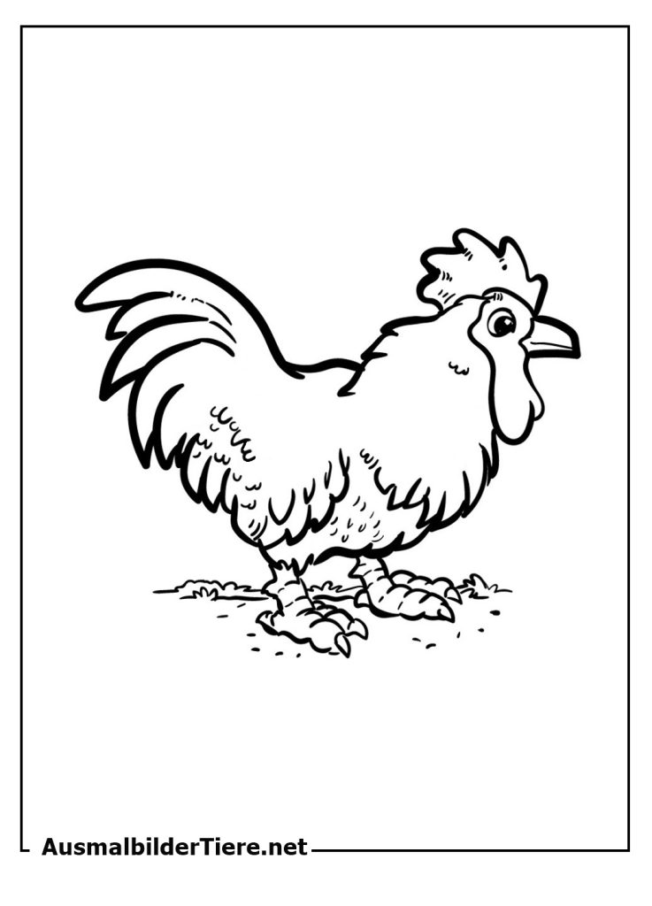 Ausmalbilder Huhn Zum Ausdrucken