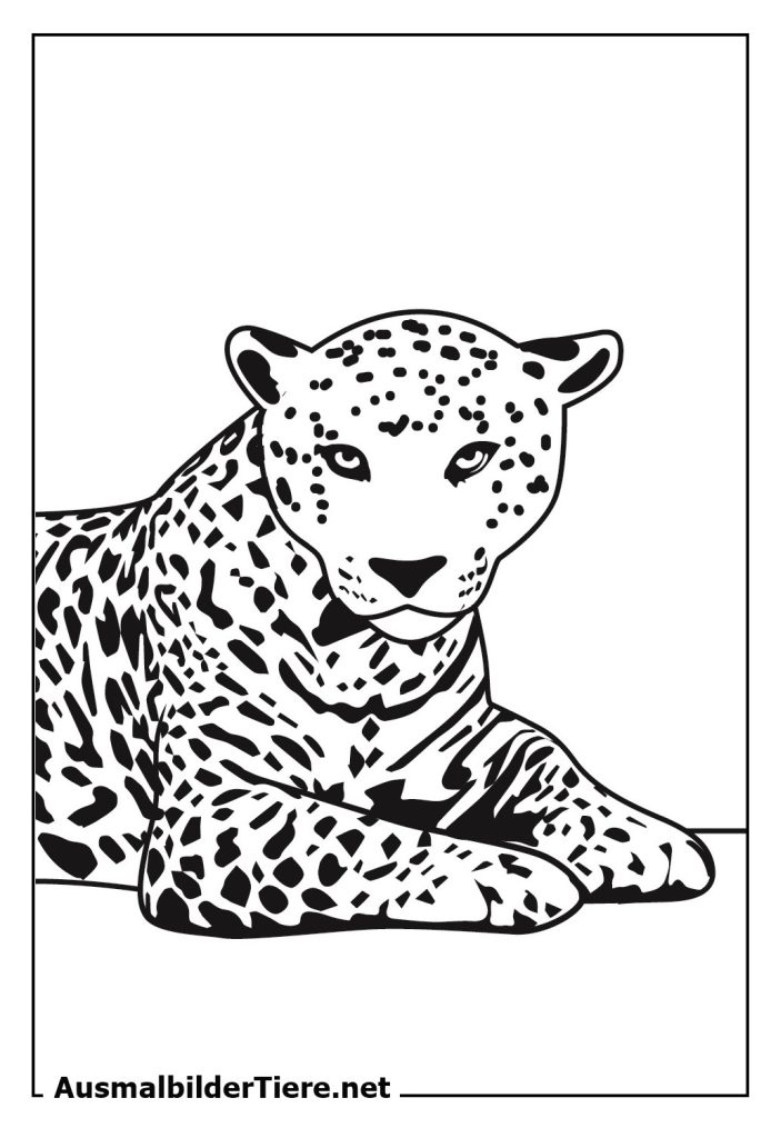 Ausmalbilder Leoparden und Jaguar, 7 Stück Kostenlos als Pdf