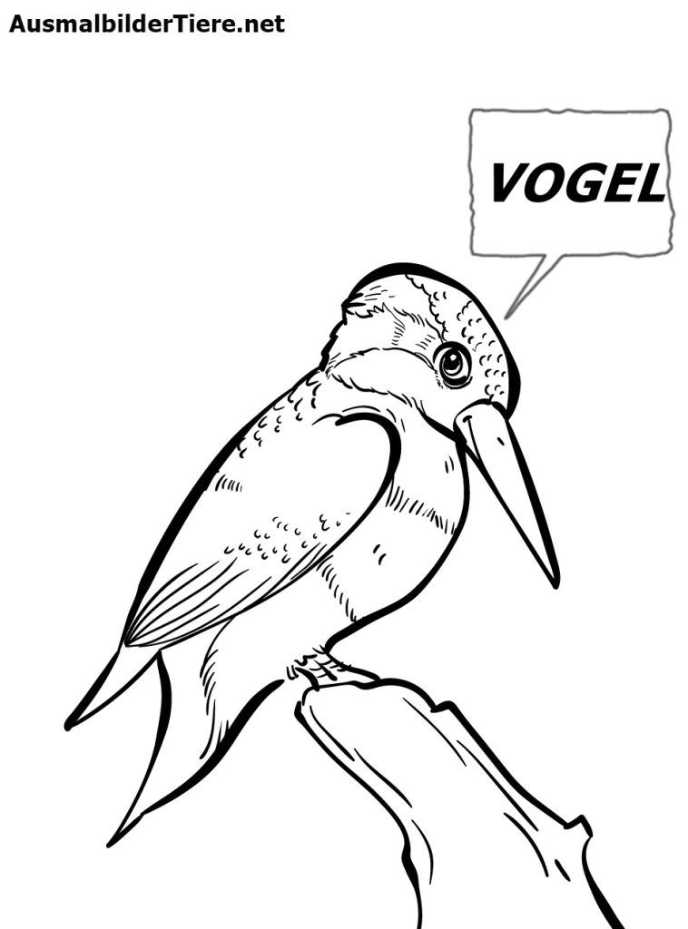 Ausmalbilder Vögel Zum Ausdrucken